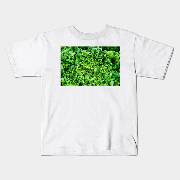 Lettuce Love Kids T-Shirt by Robert Alsop